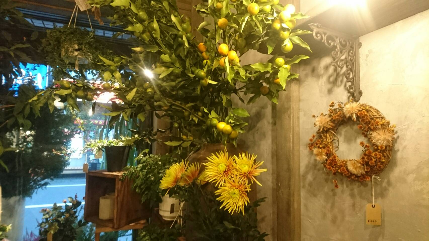 武蔵新城におしゃれなお花屋さんがオープン 花や 蔦ひつじ さん 武蔵小杉 武蔵中原 武蔵新城エリアの賃貸はジェクト不動産部にお任せ下さい